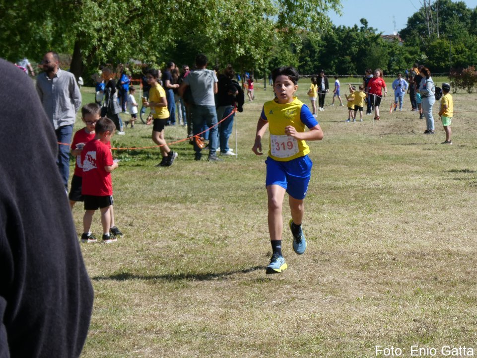 Lugo: Promesse al parco delle Lavandaie - 01 maggio 2026